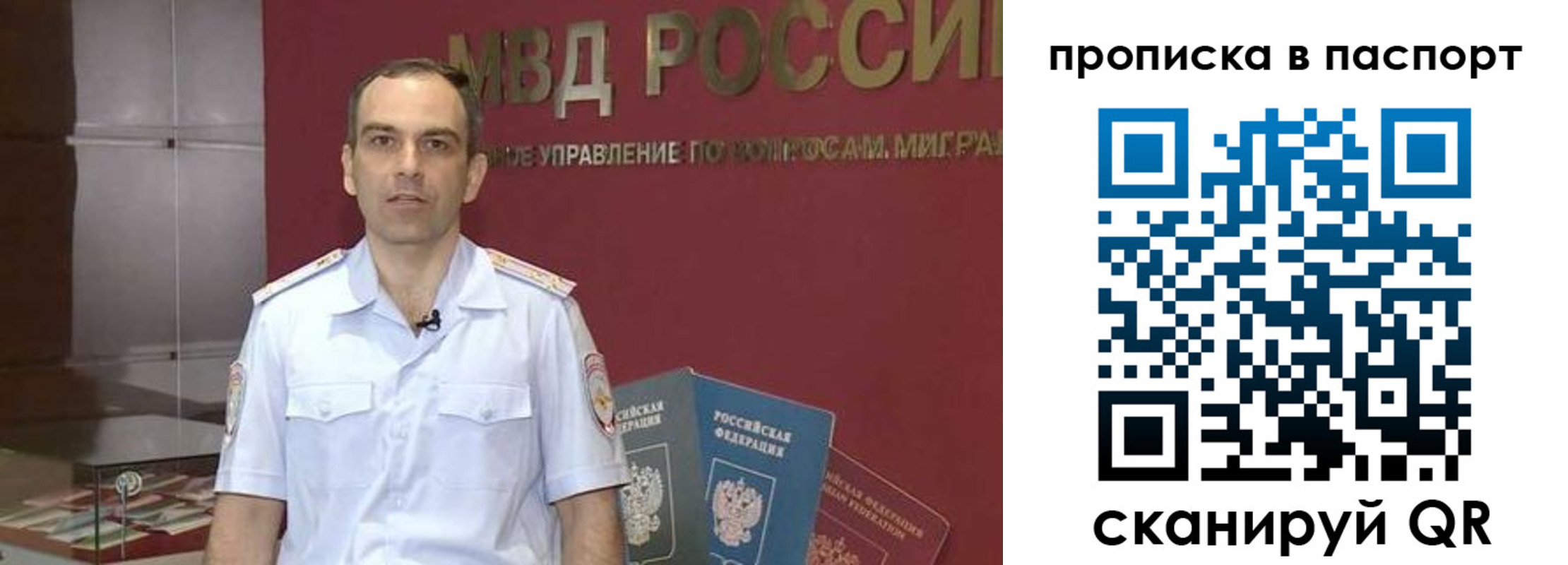 прописка поиск в Волгоградской области